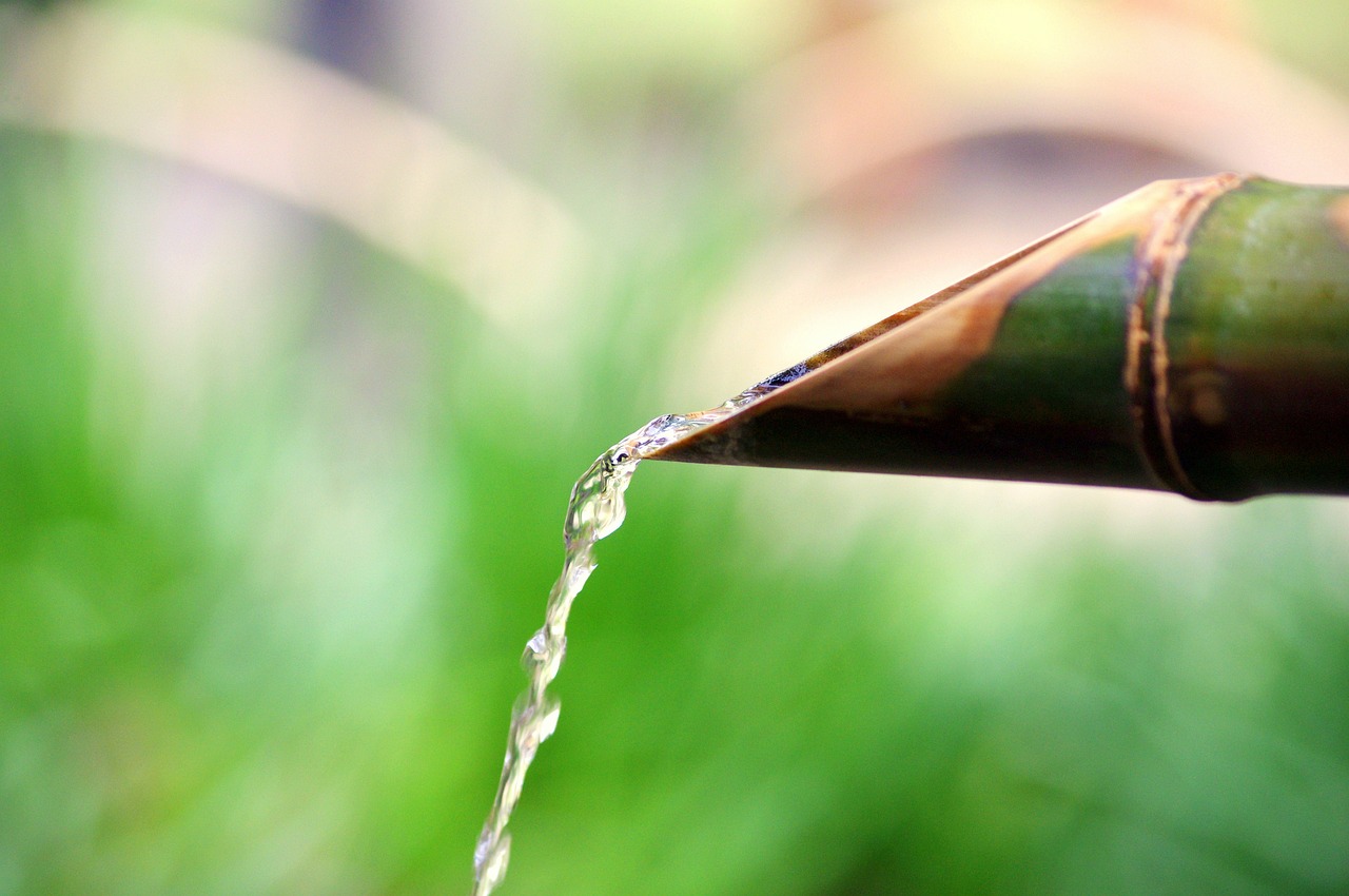 The Benefits of Bamboo in Sustainable Living